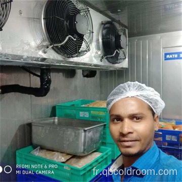 Évaporateur de réfrigération Unité de condenseur de chambre froide